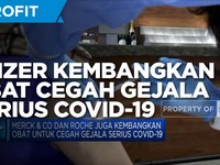 Pfizer Kembangkan Obat Untuk Cegah Gejala Serius Covid-19