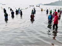 Gaya Jokowi 'Nyemplung' Menanam Mangrove di Kepulauan Riau