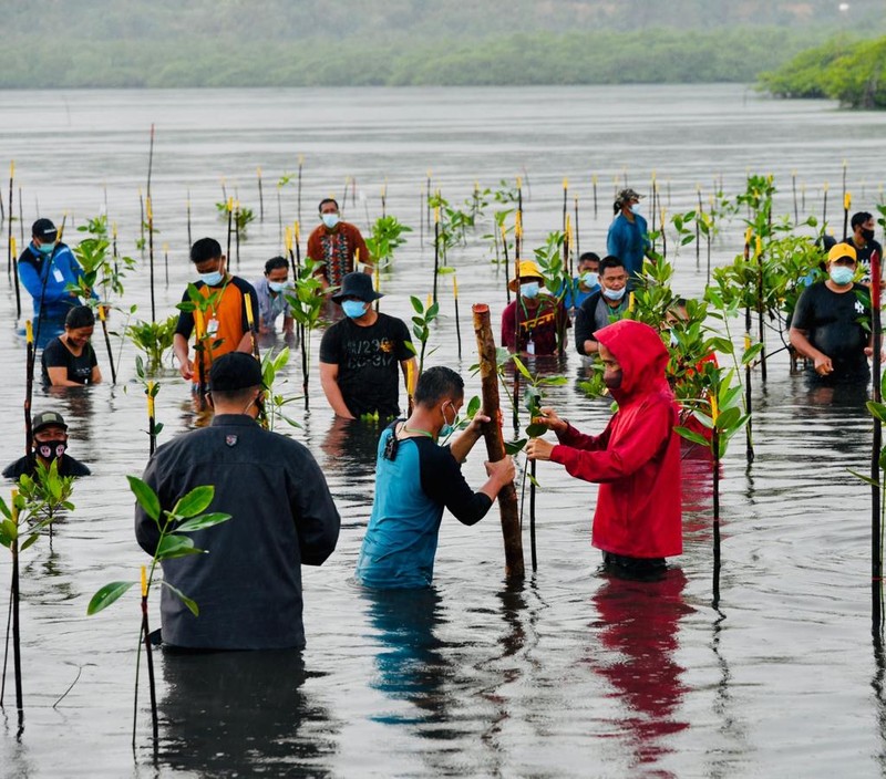 Presiden Joko Widodo menanam Mangrove bersama masyarakat di Batam. (Dok: Biro Pers Sekretariat Presiden)