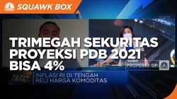 Reli Harga Komoditas,Trimegah Sekuritas: PDB RI 2021 Bisa 4%