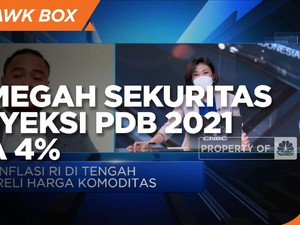 Reli Harga Komoditas,Trimegah Sekuritas: PDB RI 2021 Bisa 4%