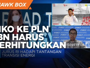 INDEF: Perlu Perhitungan Risiko Transisi Energi ke PLN & APBN