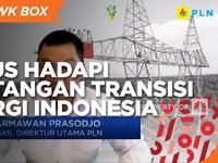 PLN & Jurus Hadapi Tantangan Transisi Energi Indonesia