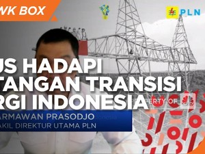 PLN & Jurus Hadapi Tantangan Transisi Energi Indonesia