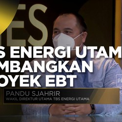 Luhut Tak Terlibat Dalam Manajemen TBS Energi Utama (TOBA)
