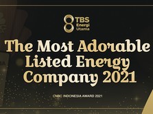 TBS Energi, Dari Batu Bara ke Energi Terintegrasi