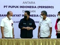 Sharon Pengganti Erick Jadi 'Menteri BUMN' Mulai Bekerja nih!