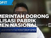 Upaya Pemerintah Dorong Utilisasi Pabrik Semen Nasional