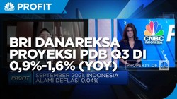 Efek PPKM, BRI Danareksa Proyeksi PDB Q3 di 0,9%-1,6% (yoy)