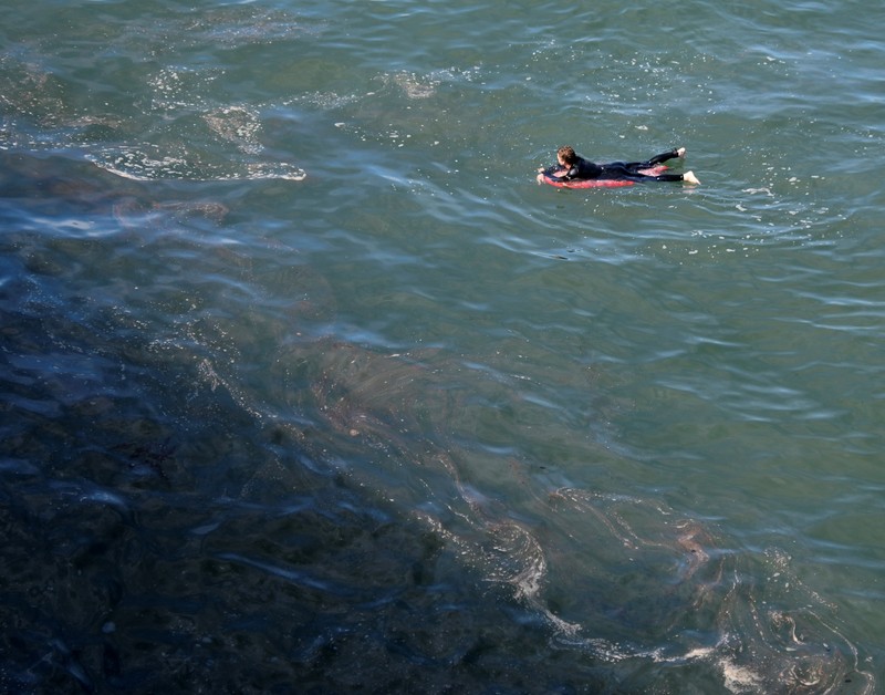 CALIFORNIA-OILSPILL/ A fish swims under oil slicks in the Talbert Channel after a major oil spill off the coast of California has come ashore in Huntington Beach, California, U.S. October 3, 2021. REUTERS/Gene Blevins TPX IMAGES OF THE DAY