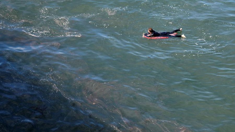 A fish swims under oil slicks in the Talbert Channel after a major oil spill off the coast of California has come ashore in Huntington Beach, California, U.S. October 3, 2021. REUTERS/Gene Blevins     TPX IMAGES OF THE DAY