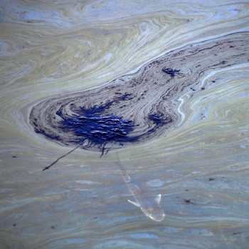 Bencana Baru AS, Minyak 3.000 Barel Tumpah di Laut California