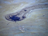 Bencana Baru AS, Minyak 3.000 Barel Tumpah di Laut California