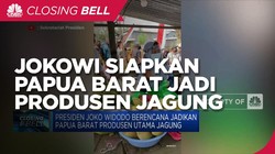 Jokowi Siapkan Papua Barat Jadi Produsen Utama Jagung