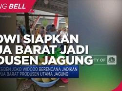 Jokowi Siapkan Papua Barat Jadi Produsen Utama Jagung