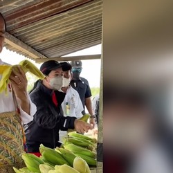 Saat Jokowi Menikmati Jagung di Kabupaten Sorong