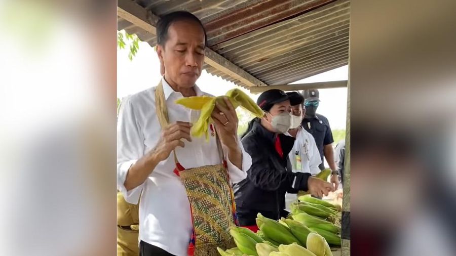 Jokowi (Tangkapan Layar Youtube)