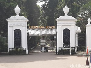 Viral Pungli di Kebun Raya Bogor, Dedi Mulyadi Angkat Bicara