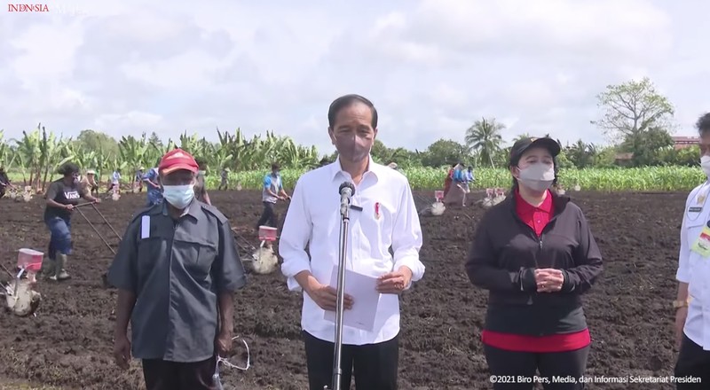 Presiden Jokowi berada di lokasi Tani Maju Makmur, Jln. Rajawali, Keluarahan Klamalu, Kecamatan Aimas, Kabupaten Sorong Papua Barat untuk melakukan penanaman benih jagung didampingi oleh Petani. Senin (4/10/2021). (Setpres-Agus Suparto) Presiden Jokowi berada di lokasi Tani Maju Makmur, Jln. Rajawali, Keluarahan Klamalu, Kecamatan Aimas, Kabupaten Sorong Papua Barat untuk melakukan penanaman benih jagung didampingi oleh Petani. Senin (4/10/2021). (Setpres-Agus Suparto)