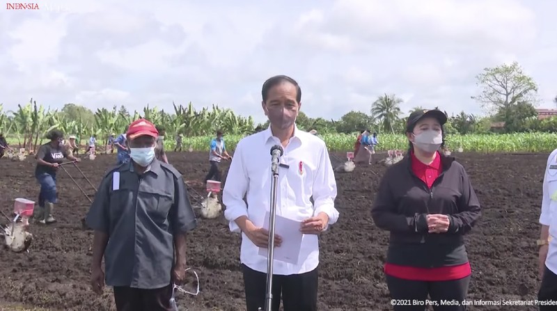 Presiden Jokowi berada di lokasi Tani Maju Makmur, Jln. Rajawali, Keluarahan Klamalu, Kecamatan Aimas, Kabupaten Sorong Papua Barat untuk melakukan penanaman benih jagung didampingi oleh Petani. Senin (4/10/2021). (Setpres-Agus Suparto)