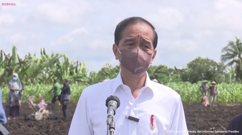 Presiden Jokowi berada di lokasi Tani Maju Makmur, Jln. Rajawali, Keluarahan Klamalu, Kecamatan Aimas, Kabupaten Sorong Papua Barat untuk melakukan penanaman benih jagung didampingi oleh Petani. Senin (4/10/2021). (Setpres-Agus Suparto) Presiden Jokowi berada di lokasi Tani Maju Makmur, Jln. Rajawali, Keluarahan Klamalu, Kecamatan Aimas, Kabupaten Sorong Papua Barat untuk melakukan penanaman benih jagung didampingi oleh Petani. Senin (4/10/2021). (Setpres-Agus Suparto)