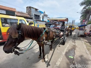 Delman Getok Harga Rp 600 Ribu di Bandung Ternyata Tak Berizin