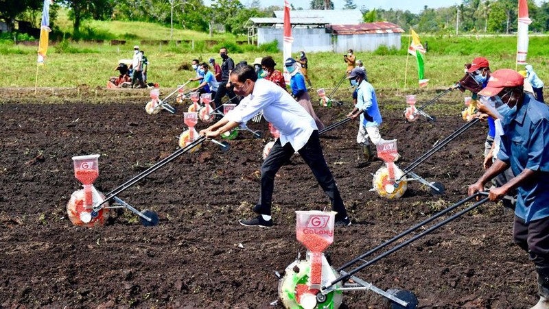 Presiden Jokowi berada di lokasi Tani Maju Makmur, Jln. Rajawali, Keluarahan Klamalu, Kecamatan Aimas, Kabupaten Sorong Papua Barat untuk melakukan penanaman benih jagung didampingi oleh Petani. Senin (4/10/2021). (Setpres-Agus Suparto)