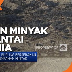 Tumpahan Minyak Melanda Pantai California