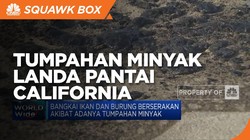 Tumpahan Minyak Melanda Pantai California
