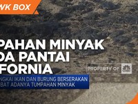 Tumpahan Minyak Melanda Pantai California