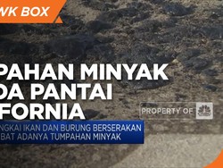 Tumpahan Minyak Melanda Pantai California