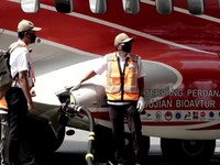 Perlu Insentif, Ini Tantangan Penggunaan Bioavtur