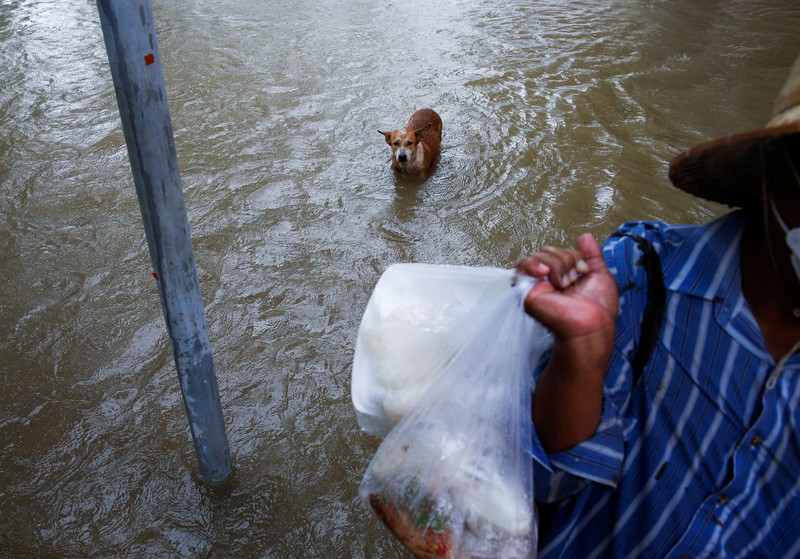 A lying Buddha statue is seen during the flood at a Temple in Ayutthaya, Thailand, October 6, 2021. REUTERS/Soe Zeya Tun