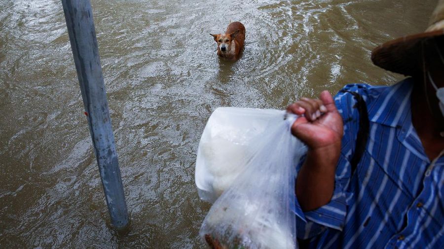 A lying Buddha statue is seen during the flood at a Temple in Ayutthaya, Thailand, October 6, 2021. REUTERS/Soe Zeya Tun