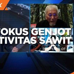Ada Kampanye Hitam Sawit, Petani Fokus Genjot Produktivitas