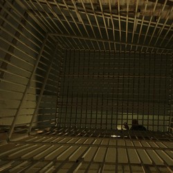 Tak Gentar Meski Dikecam, Tetangga RI Hukum Gantung 9 Orang di 2024