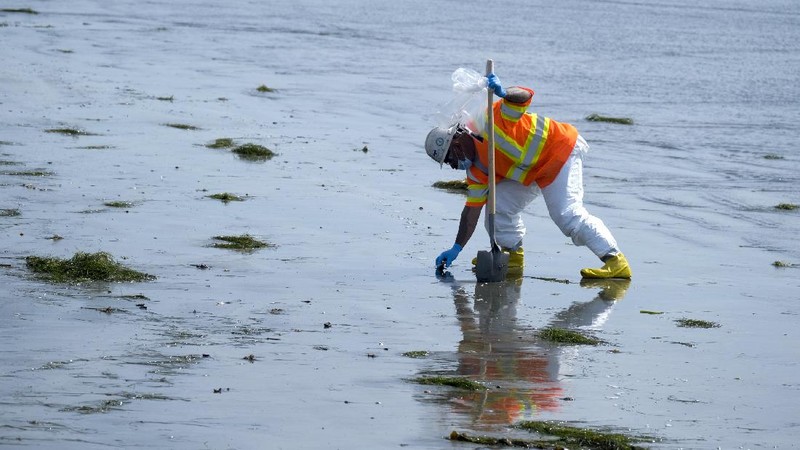 People play on the sand in the background as workers in protective suits clean the contaminated beach after an oil spill in Newport Beach, Calif., on Wednesday, Oct. 6, 2021. A major oil spill off the coast of Southern California fouled popular beaches and killed wildlife while crews scrambled Sunday, to contain the crude before it spread further into protected wetlands. (AP Photo/Ringo H.W. Chiu)