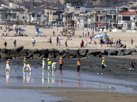 Bersih bersih Pantai California AS dari Tumpahan Minyak