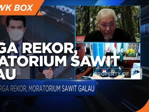Gapki:Negara Lain Tak Boleh Pengaruhi Aturan Moratorium Sawit
