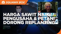 Harga Sawit Melonjak, Pengusaha & Petani Dorong Replanting