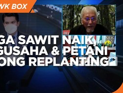 Harga Sawit Melonjak, Pengusaha & Petani Dorong Replanting
