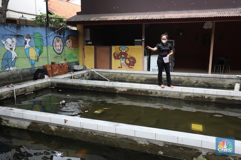 Petani lobster air tawar menunjukkan lobster siap jual di tempat budidaya lobster air tawar BFC Mini Farm di kawasan Ciputat, Tangerang Selatan, Kamis (7/8/2021). (CNBC Indonesia/Andrean Kristianto) Petani lobster air tawar menunjukkan lobster siap jual di tempat budidaya lobster air tawar BFC Mini Farm di kawasan Ciputat, Tangerang Selatan, Kamis (7/8/2021). (CNBC Indonesia/Andrean Kristianto)