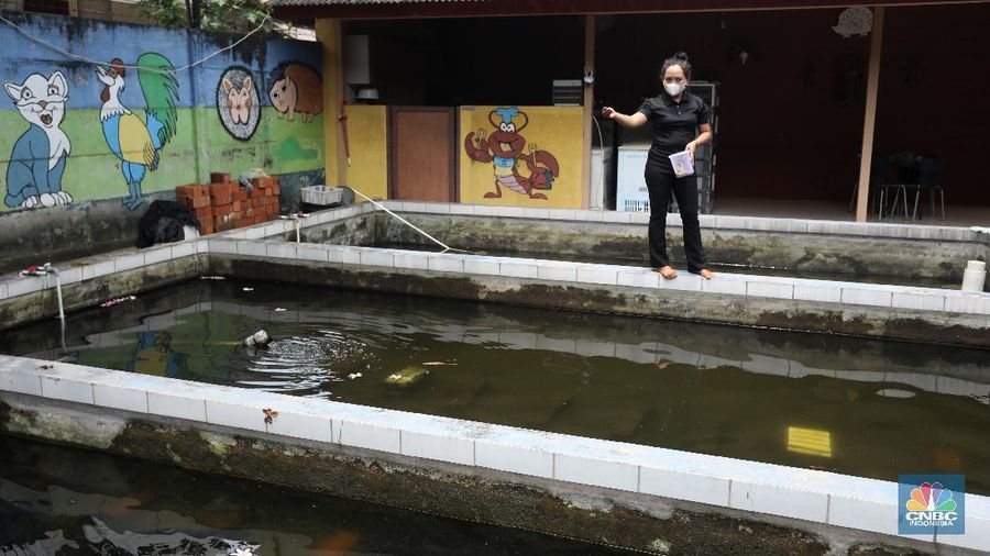 Petani lobster air tawar menunjukkan lobster siap jual di tempat budidaya lobster air tawar BFC Mini Farm di kawasan Ciputat, Tangerang Selatan, Kamis (7/8/2021). (CNBC Indonesia/Andrean Kristianto)