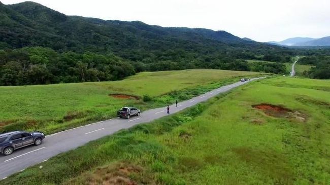 Prabowo Tak Main-Main Bangun 138,5 Km Jalan di Papua Selatan