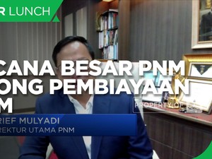 Arief Mulyadi & Rencana Besar PNM Lewat Holding Ultra Mikro