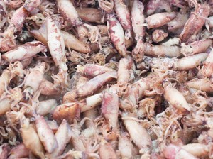Praktis! Ini Tips Masak Cumi Asin Anti Alot yang Enak Buat Lauk