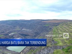 Harga Batu Bara Tak Terbendung Hingga Corona RI Turun Berkala
