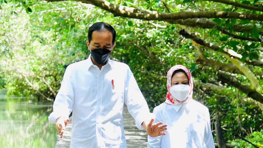Presiden Joko Widodo dan Ibu Negara Iriana Joko Widodo bersama rombongan meninjau hutan mangrove di Taman Hutan Raya Ngurah Rai, Kabupaten Badung pada Jumat pagi, 8 Oktober 2021. (Laily Rachev - Biro Pers Sekretariat Presiden)
