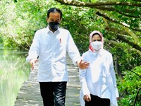 Jokowi Terbang ke Jateng, Cek Lumbung Pangan 'Raksasa'