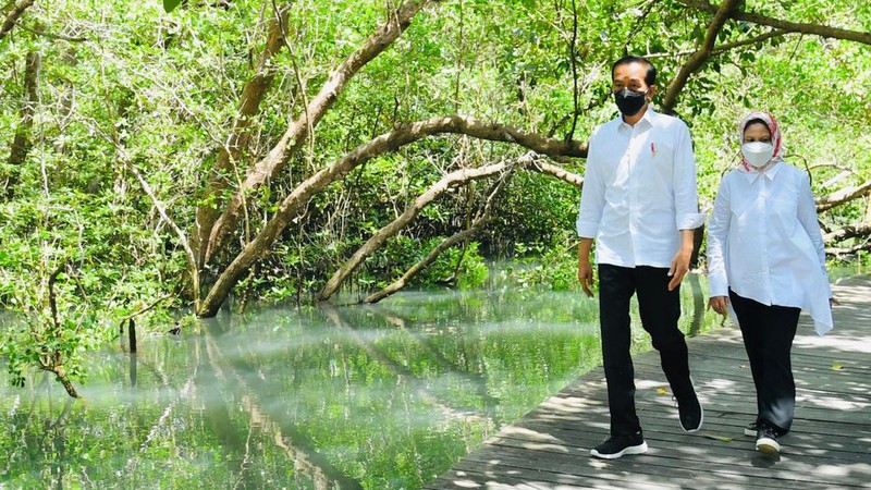 Presiden Joko Widodo dan Ibu Negara Iriana Joko Widodo bersama rombongan meninjau hutan mangrove di Taman Hutan Raya Ngurah Rai, Kabupaten Badung pada Jumat pagi, 8 Oktober 2021. (Laily Rachev - Biro Pers Sekretariat Presiden)